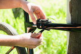 Dawn to Dusk Bear Hug Anywhere Water Bottle Cage Mount